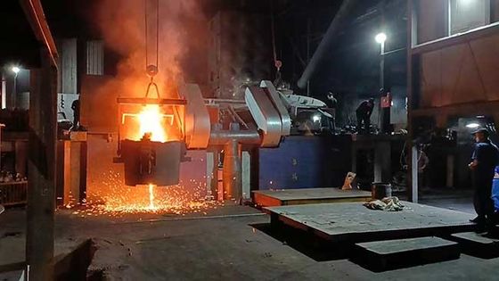 Niezawodność Indukcyjny pieczar z oszczędnością energii Elektryczny żelazo z bezpieczeństwem